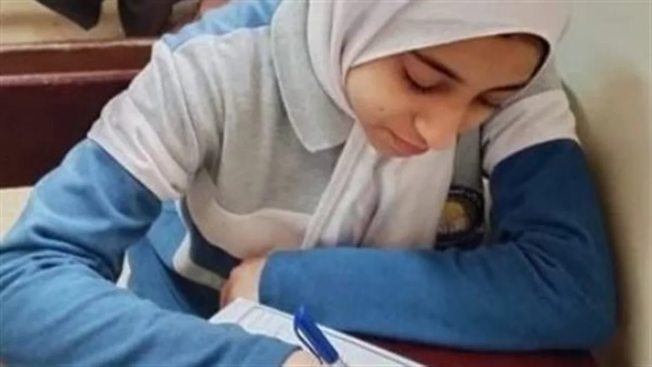 رابط مفعل.. نتائج امتحانات طلاب محافظة الجيزة تظهر عبر البوابة الإلكترونية للمديرية